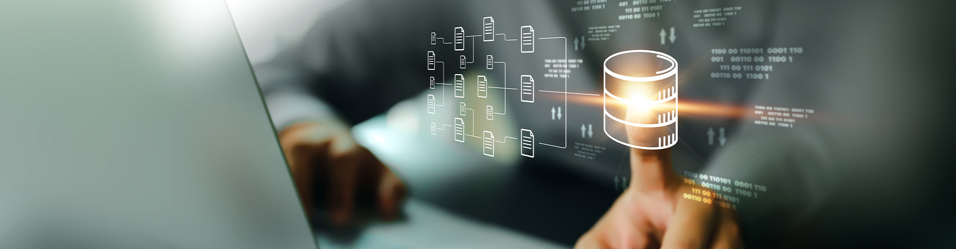 Our Digital & Portal Services