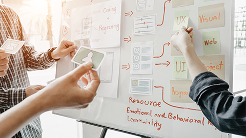  Portal Interface and UX Design