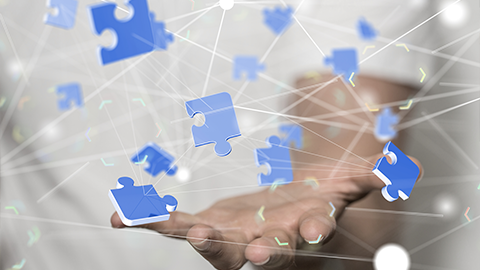 Custom Development and Secure Integration