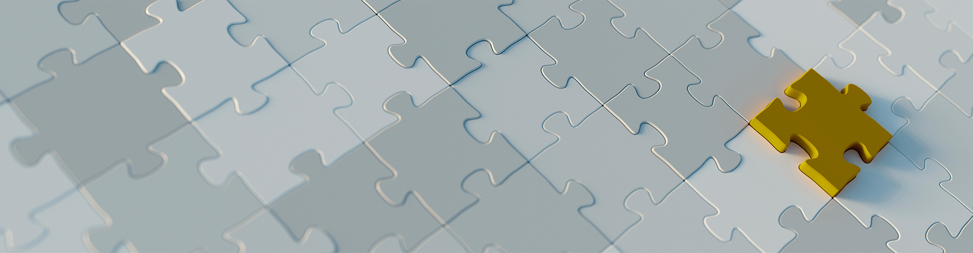 Discover WEBSE’s full suite of digital solution. 